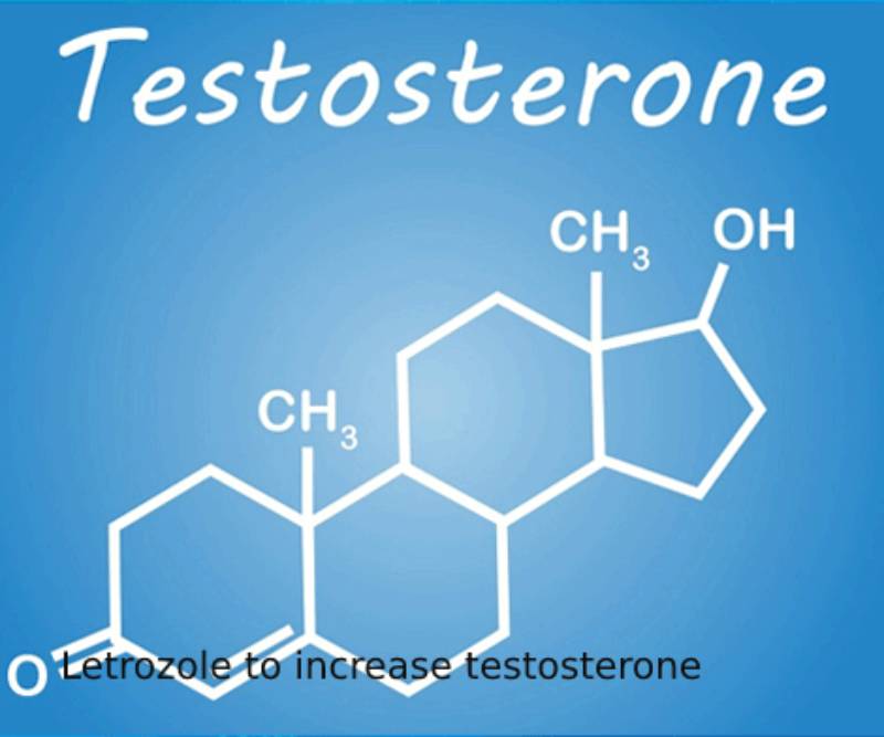Letrozole to increase testosterone
