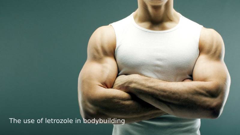 The use of letrozole in bodybuilding