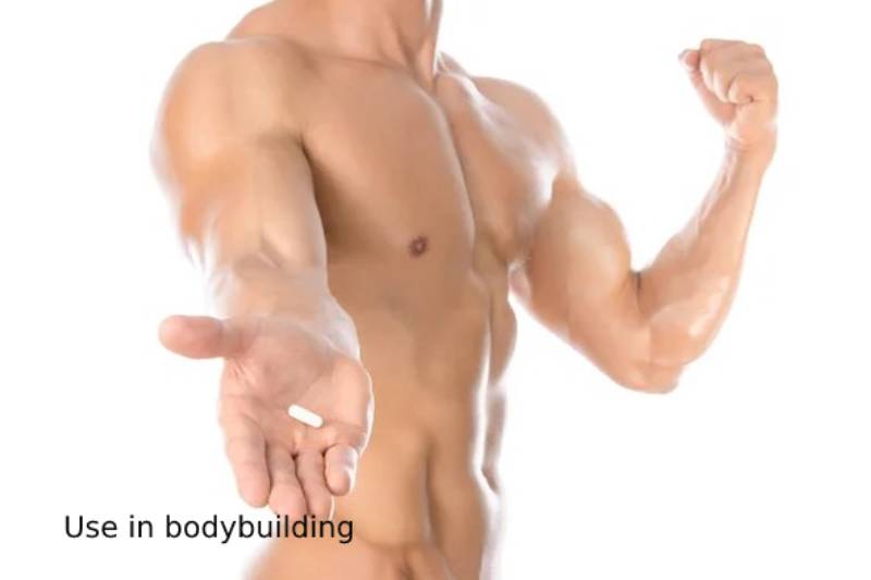 Use in bodybuilding